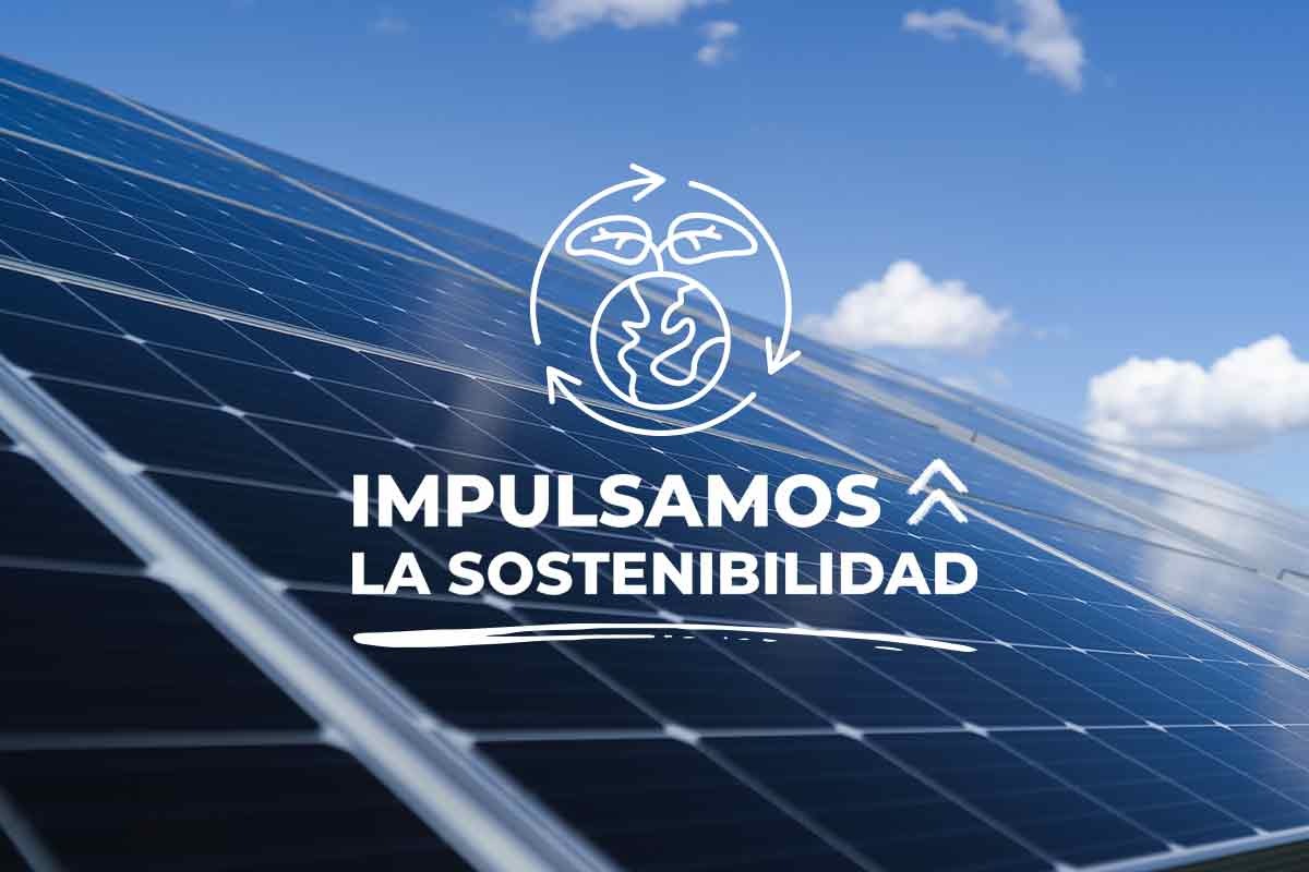 Impulsando la Sostenibilidad: Nuestras plantas con energía fotovoltaica  